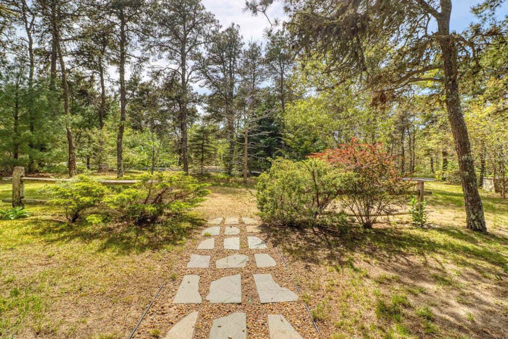 Photo of Outdoor in Katama