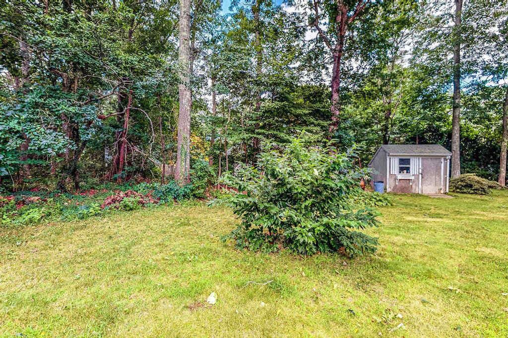 Photo of Outdoor in East Falmouth
