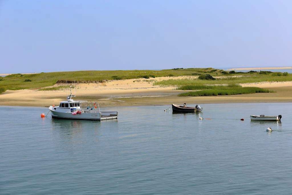 Photo of Others in Vineyard Haven