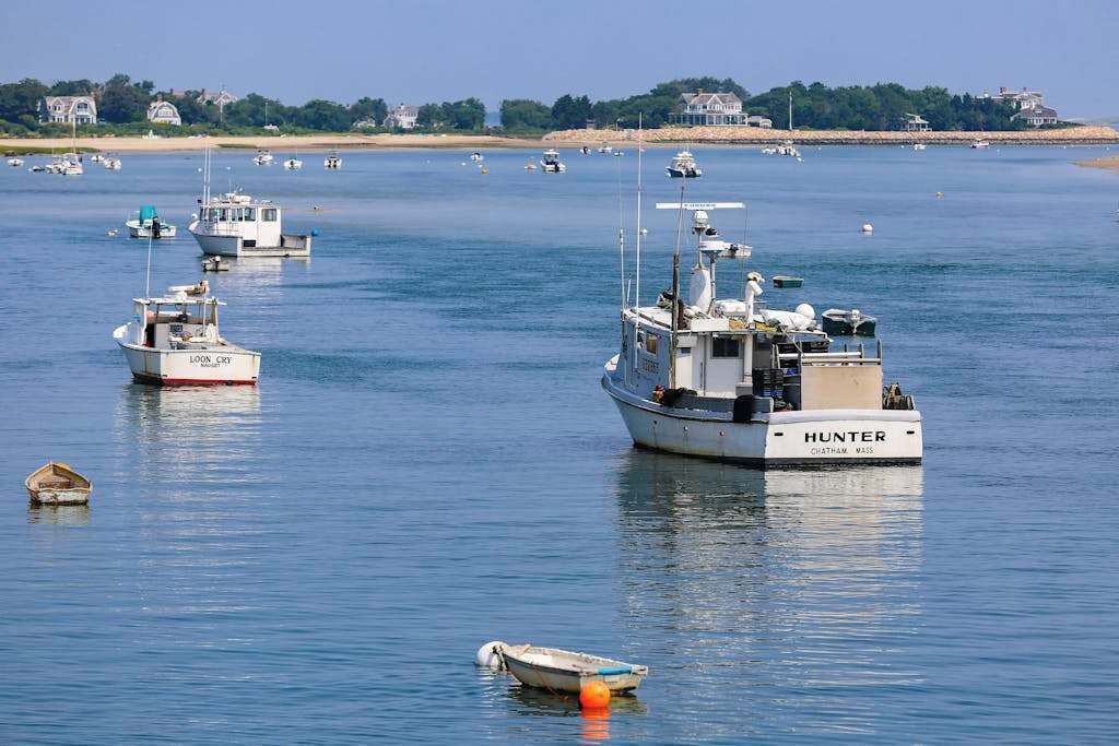 Photo of Others in Vineyard Haven