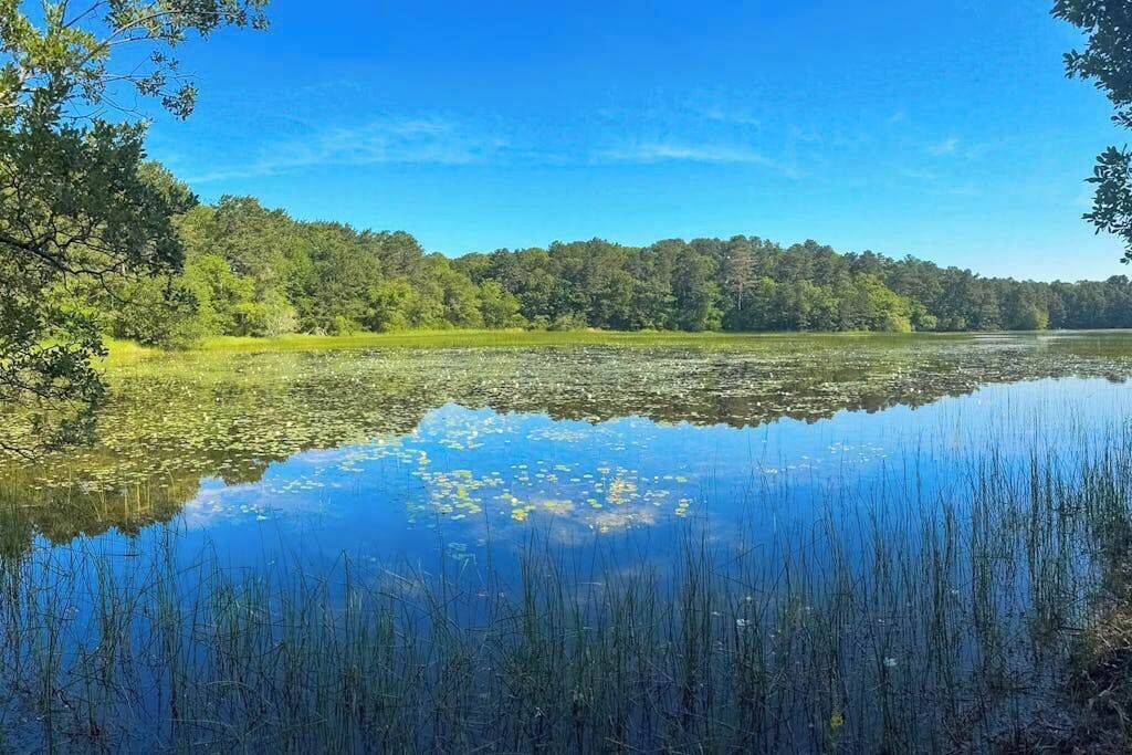 Photo of Others in South Dennis