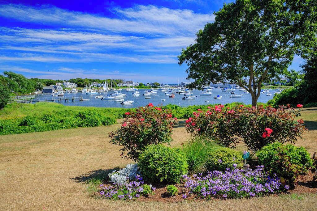 Photo of Others in Mashpee