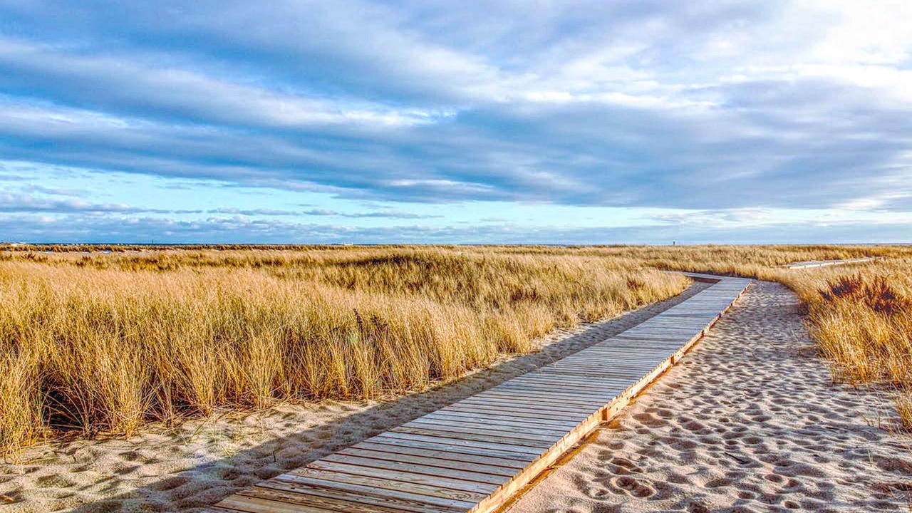 Photo of Others in Provincetown