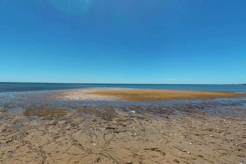 Photo of Others in Provincetown