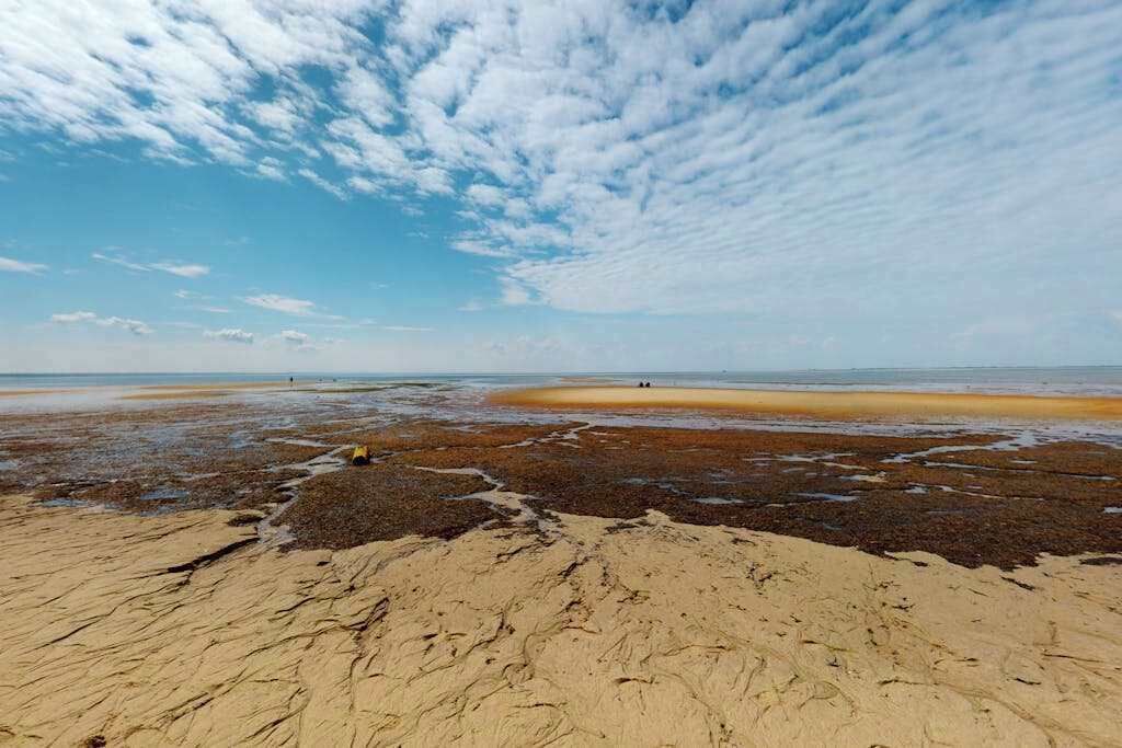 Photo of Others in Provincetown
