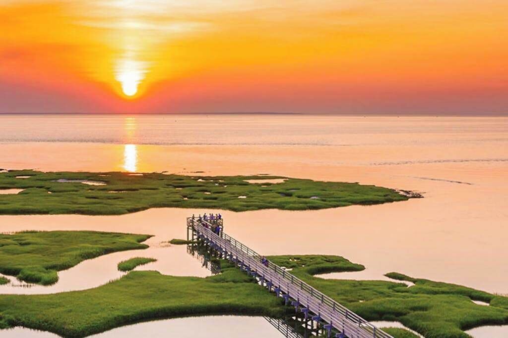 Photo of Others in Yarmouth Port