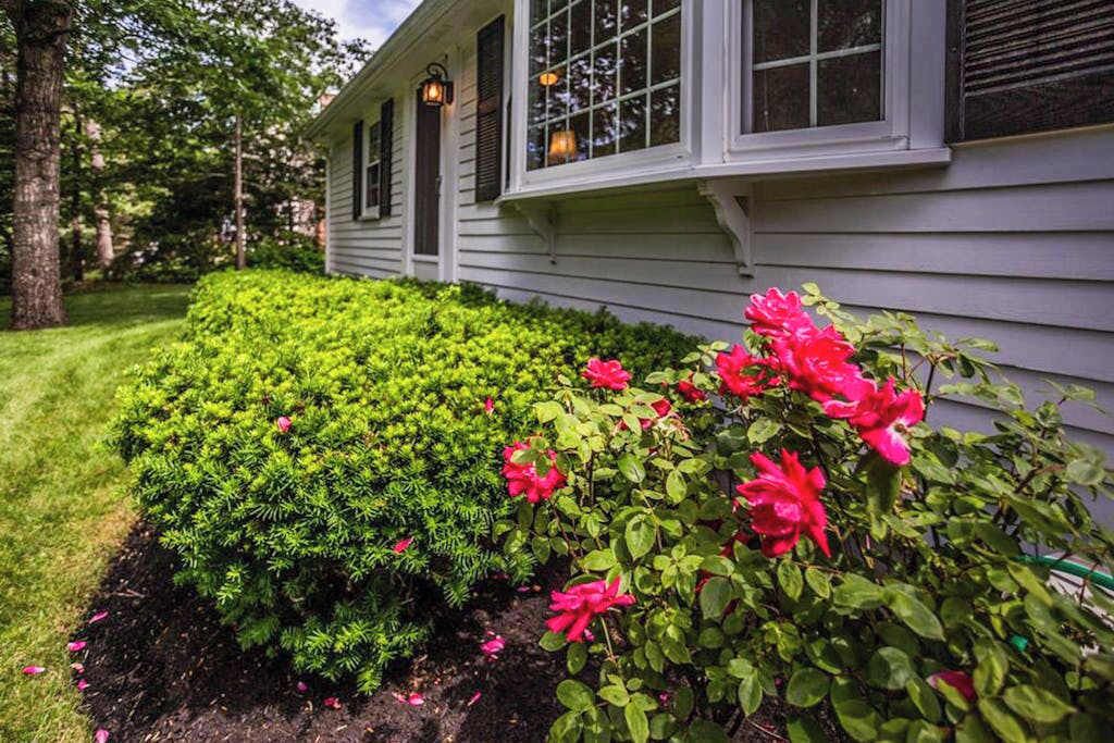 Photo of Outdoor in Yarmouth Port