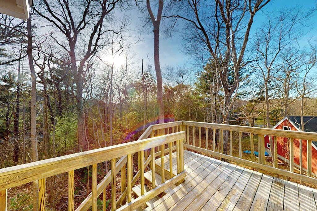 Photo of Outdoor in Cedar Bushes