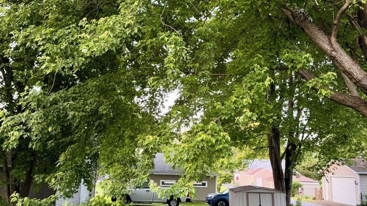 Photo of Outdoor in Cape Vincent