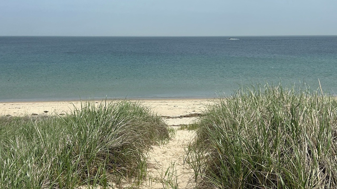 Photo of Others in Sagamore Beach