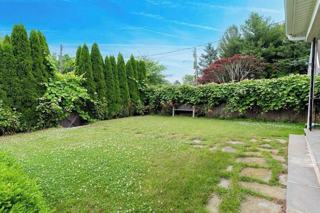 Photo of Outdoor in Greenport West