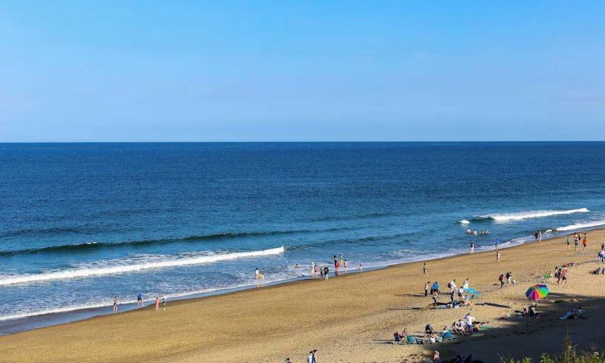 Photo of Others in Provincetown