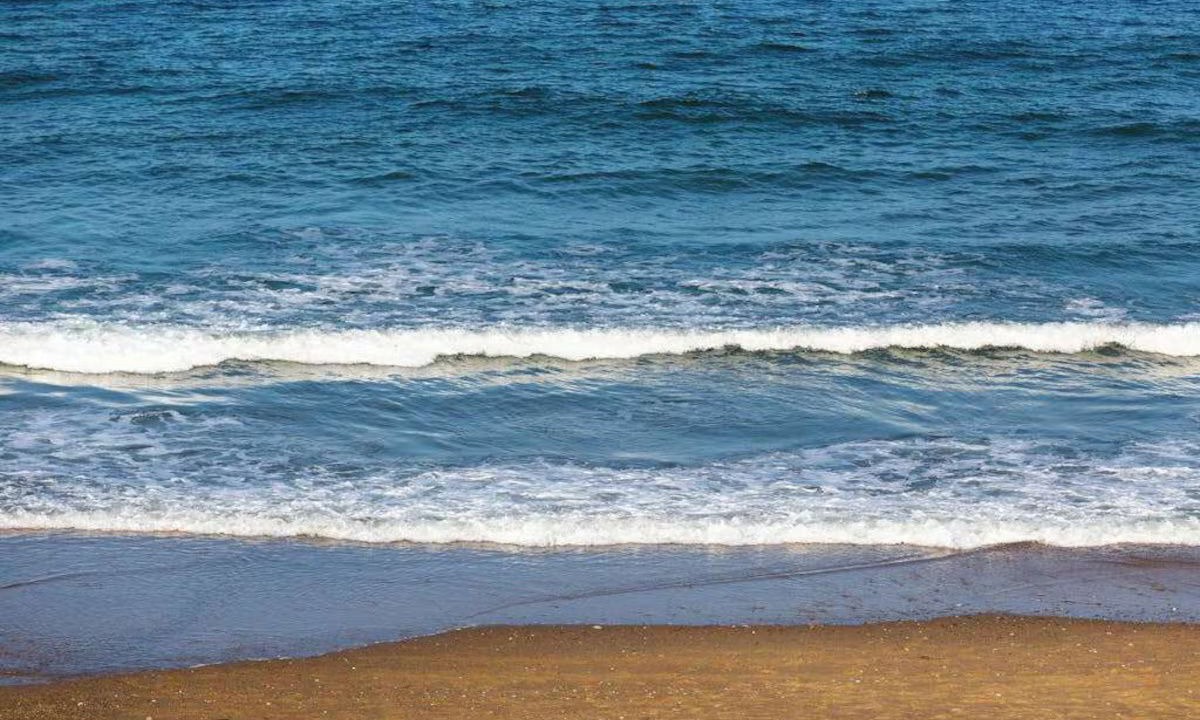 Photo of Others in Provincetown