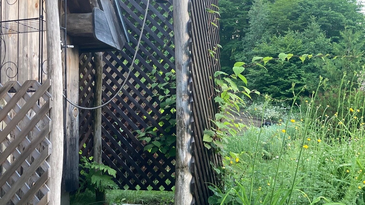 Photo of Outdoor in Washington