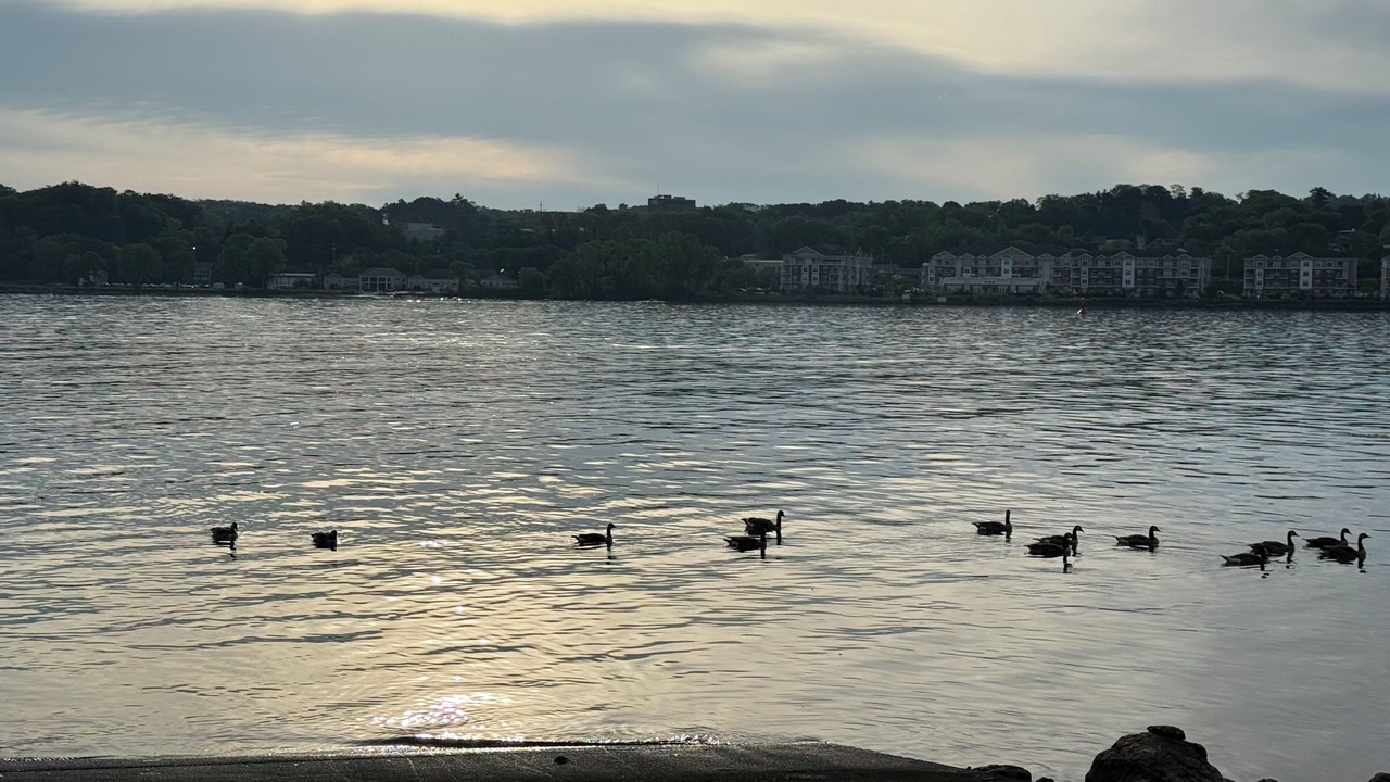 Photo of Others in Poughkeepsie