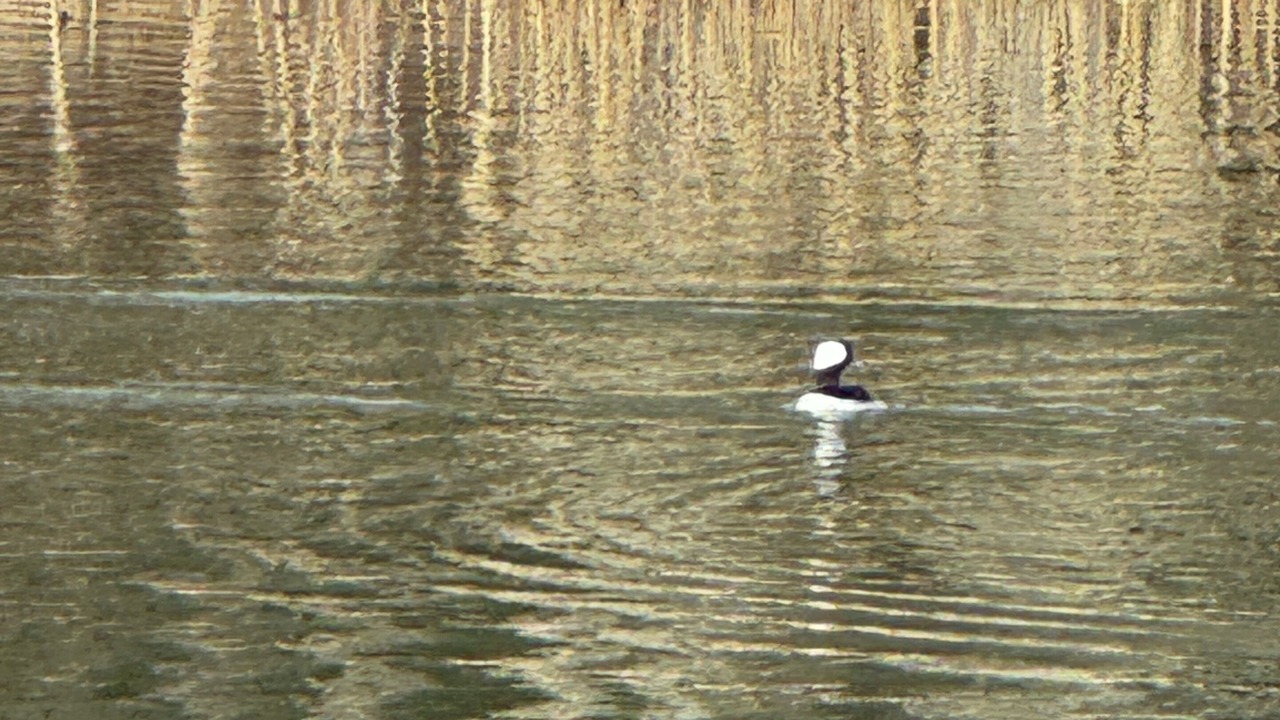 Photo of Others in Town of Conesville