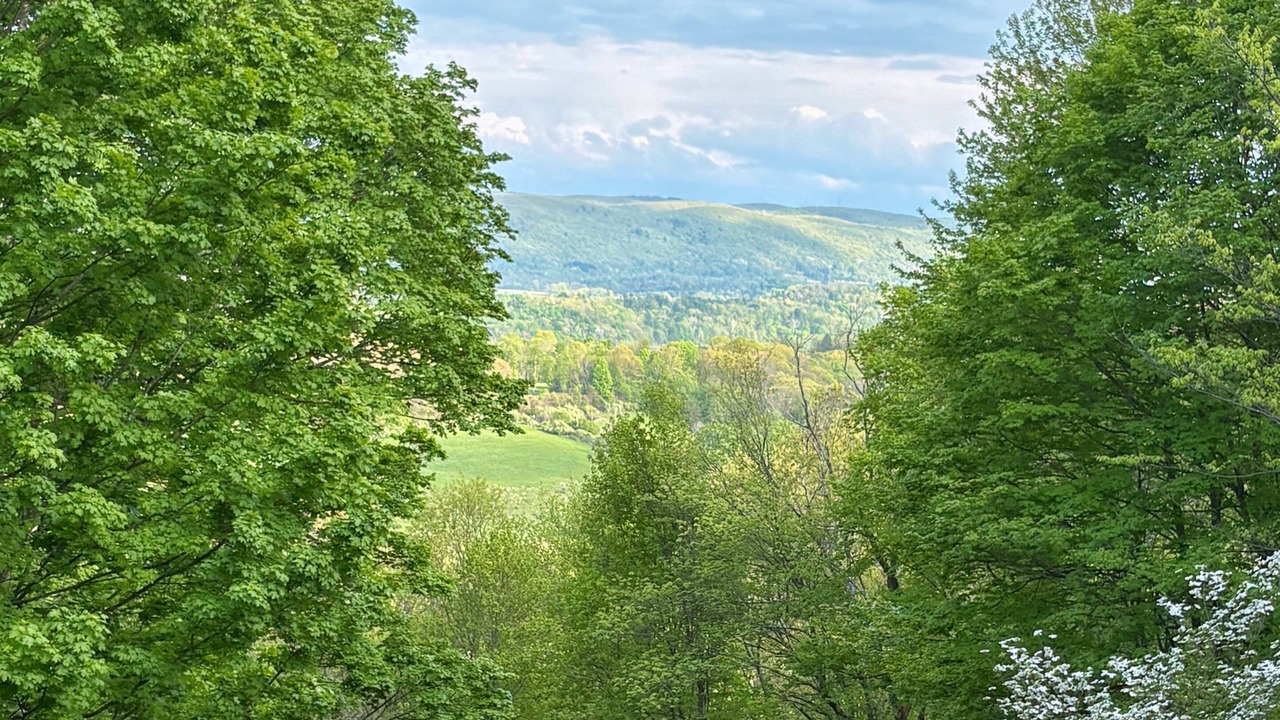 Photo of Others in Dover Plains