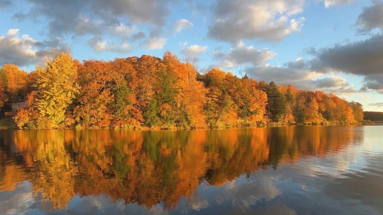 Photo of Others in Wolcott