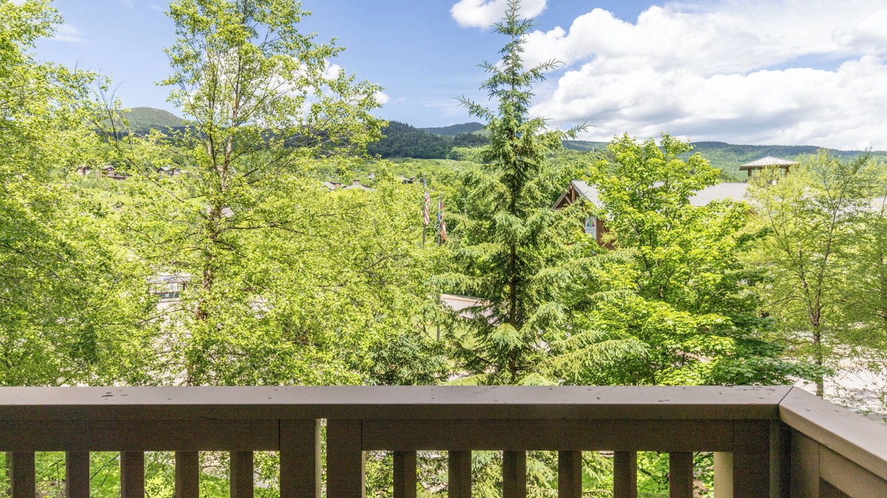 Photo of Outdoor in Stowe Area