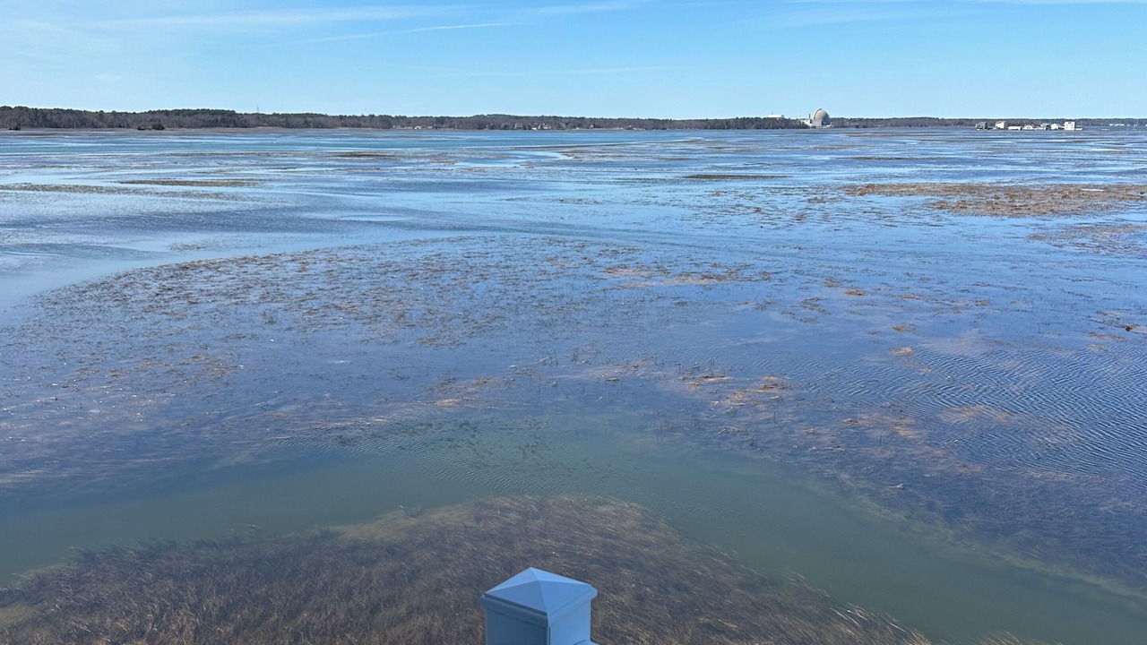 Photo of Outdoor in Seabrook