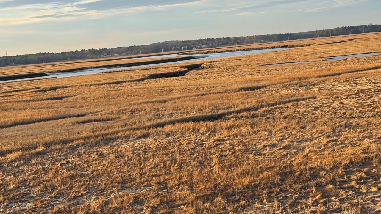 Photo of Others in Seabrook