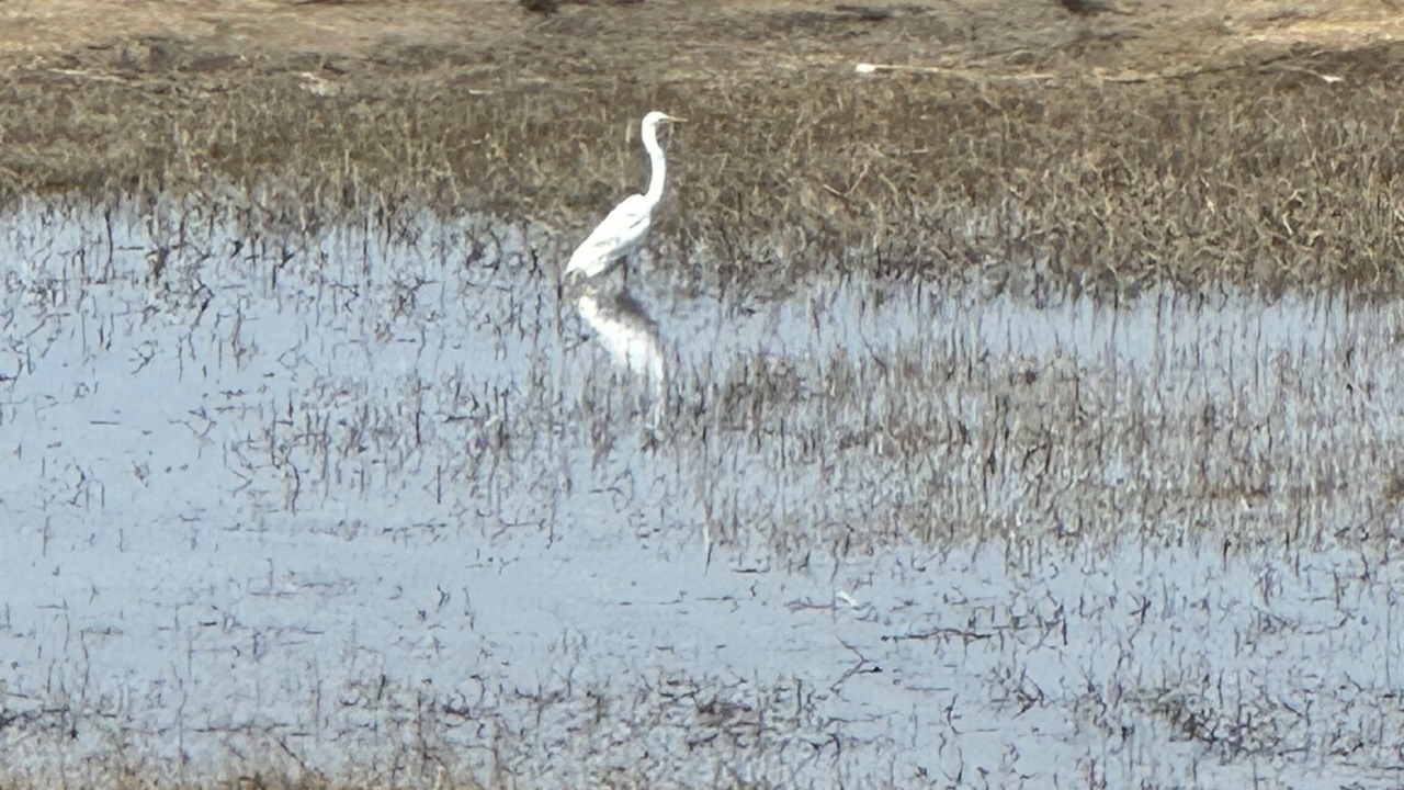 Photo of Others in Seabrook