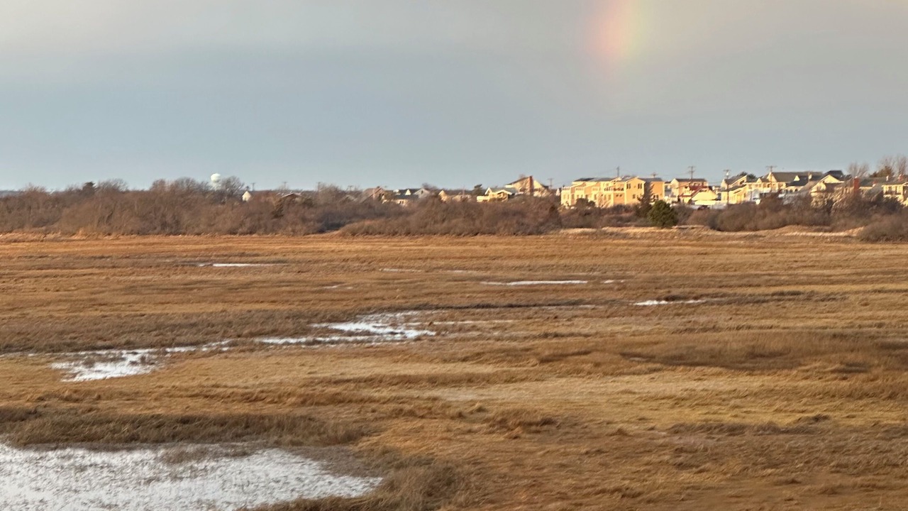 Photo of Others in Seabrook