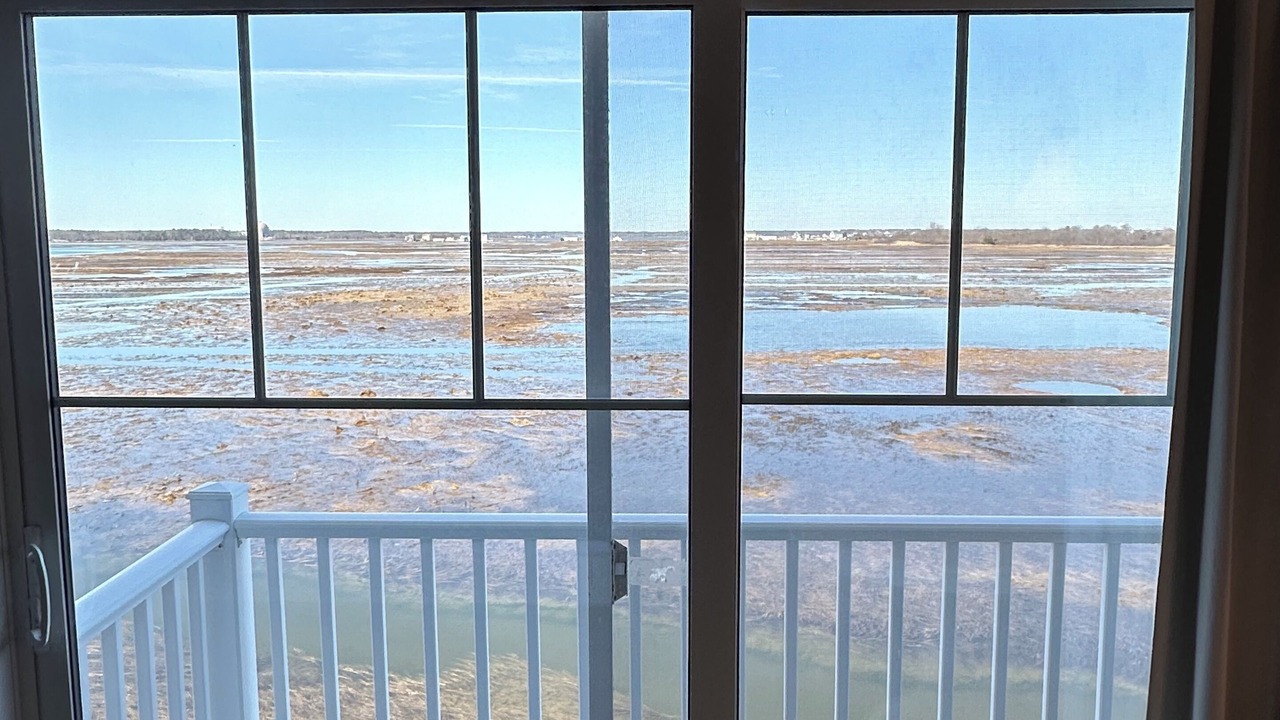 Photo of Others in Seabrook