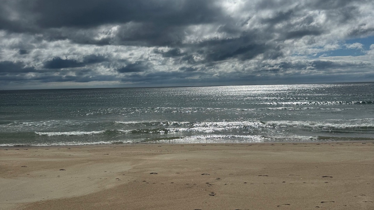 Photo of Others in Seabrook