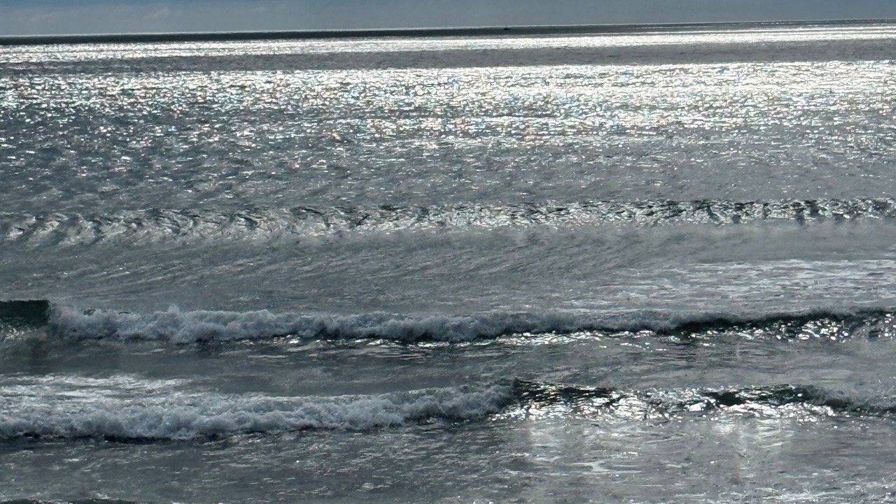 Photo of Others in Seabrook