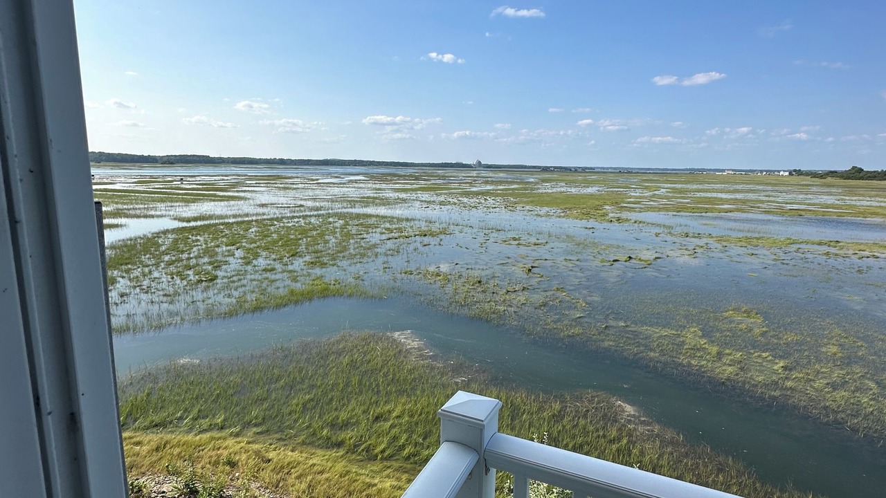 Photo of Outdoor in Seabrook