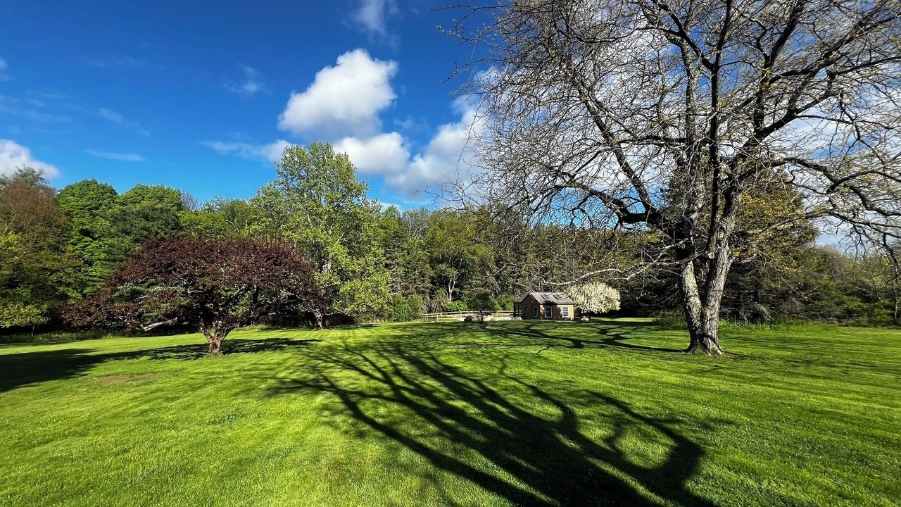 Photo of Outdoor in Sharon