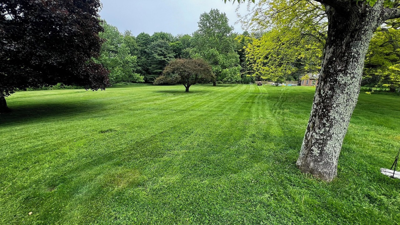 Photo of Outdoor in Sharon