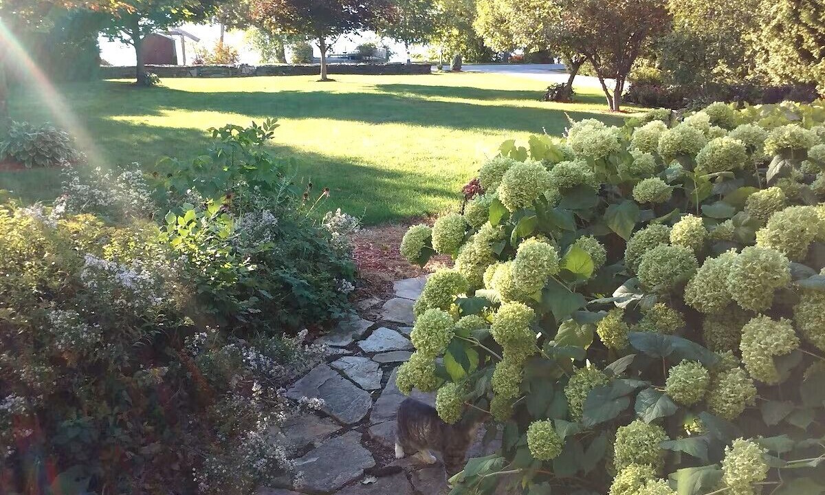 Photo of Outdoor in Isle La Motte