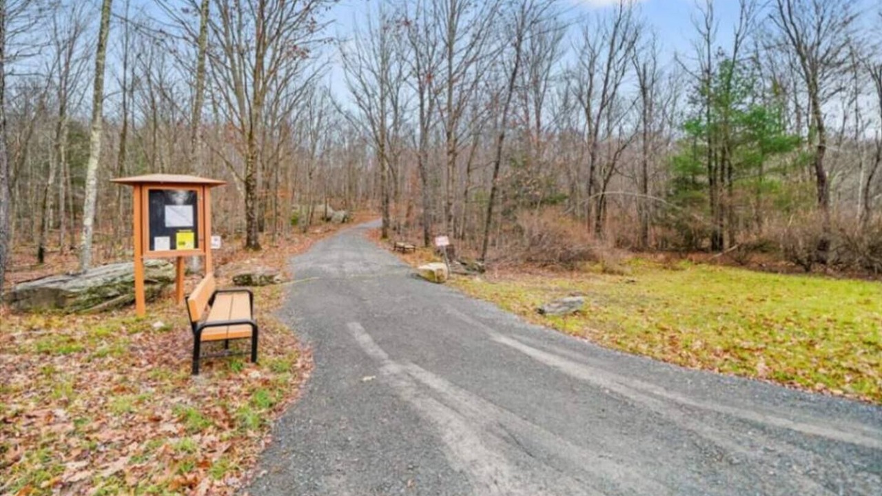 Photo of Outdoor in South Fallsburg