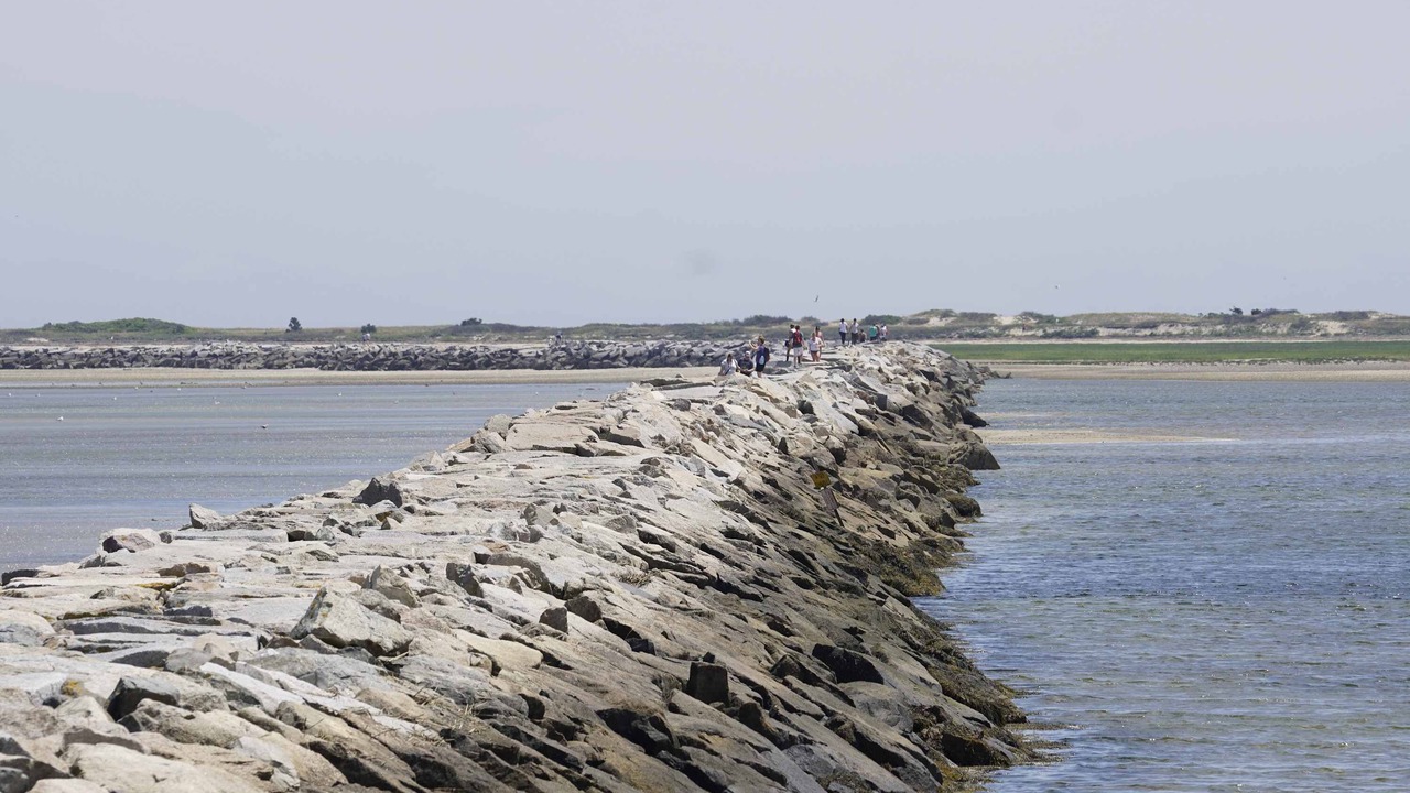 Photo of Others in Provincetown