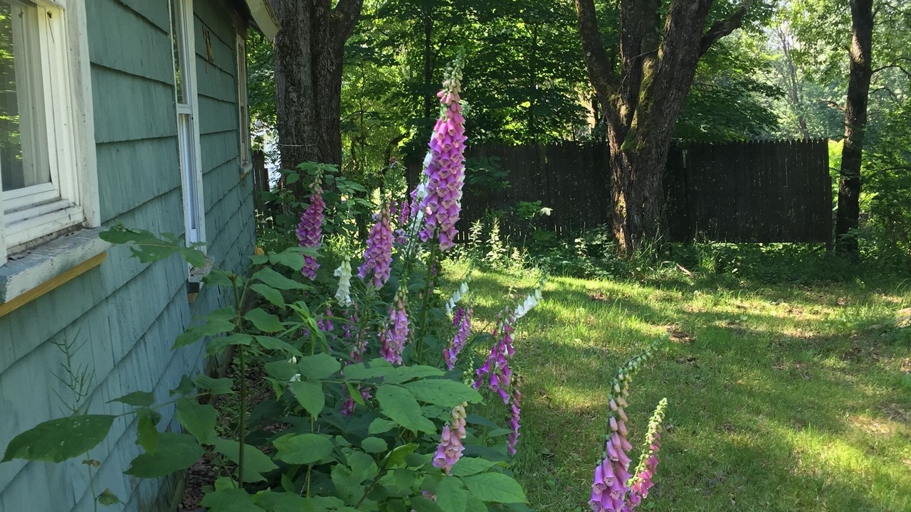 Photo of Outdoor in Durhamville