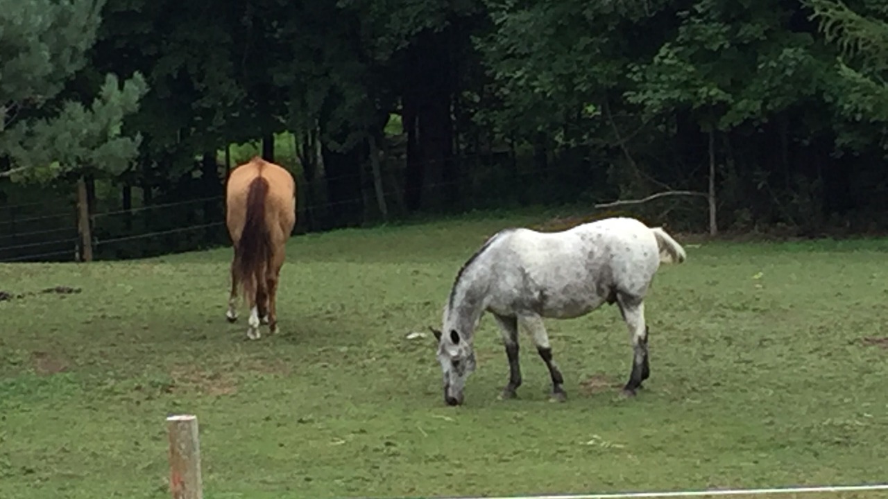 Photo of Others in Durhamville