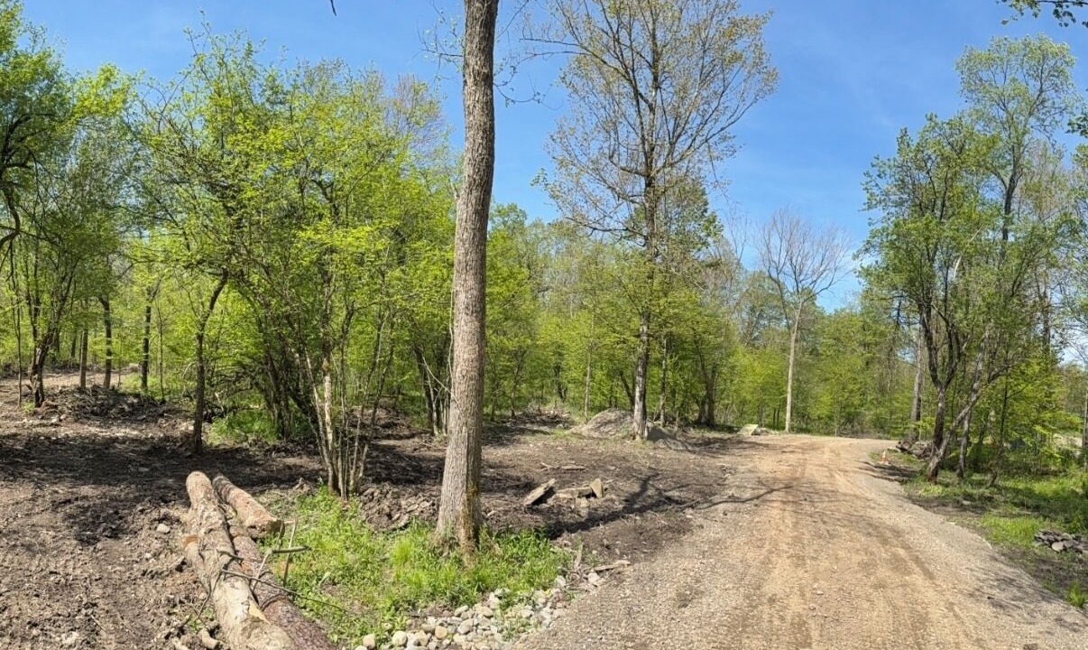 Photo of Others in Smithville Flats