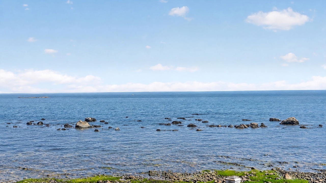 Photo of Others in Scituate
