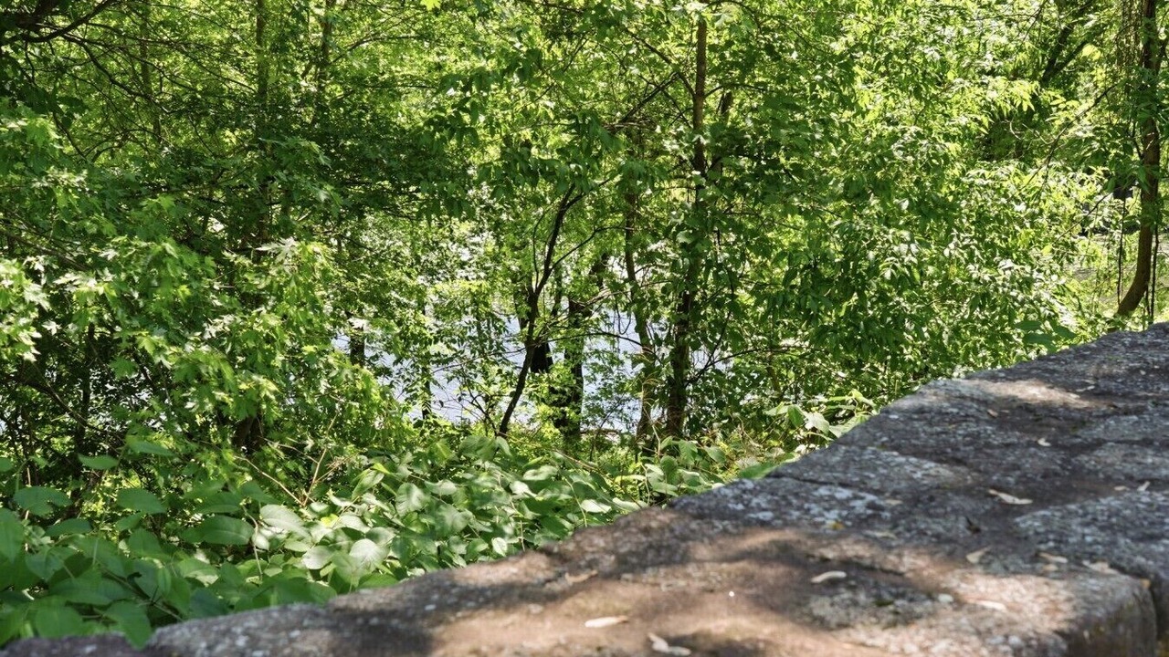 Photo of Others in Silver Lane