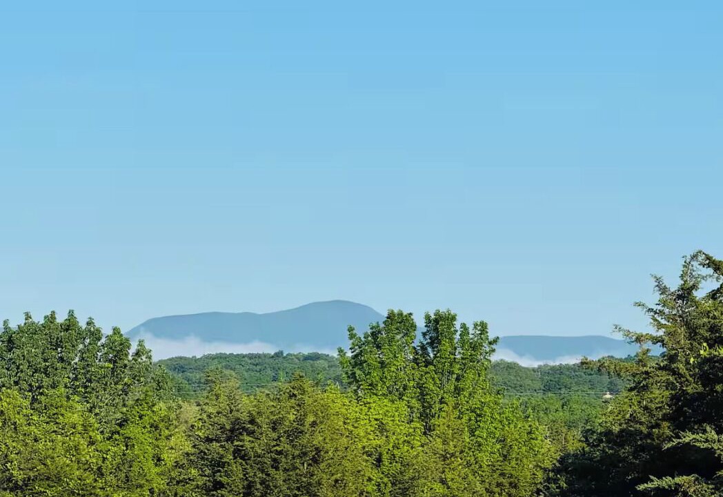 Photo of Others in Hudson
