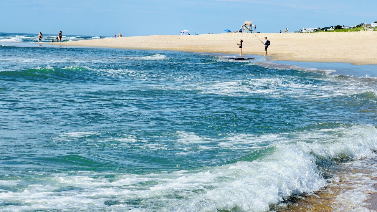 Photo of Others in Surf City