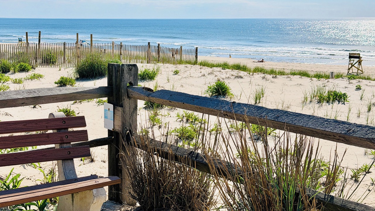 Photo of Others in Surf City