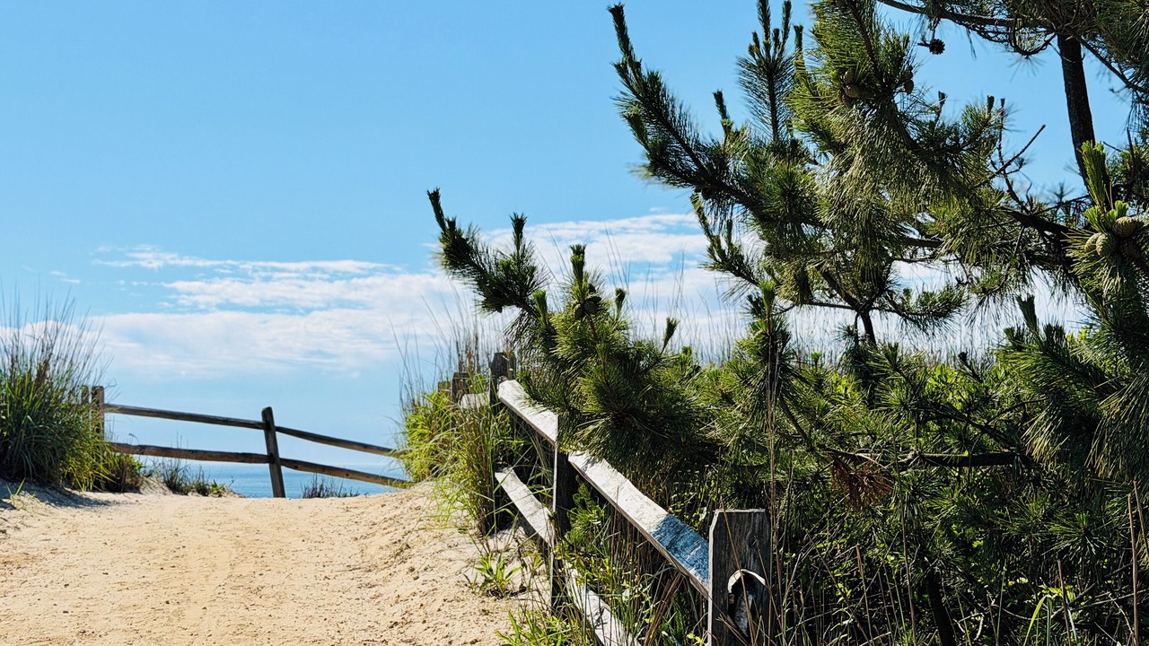 Photo of Others in Surf City