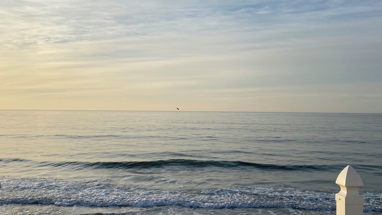Photo of Others in Wells Beach