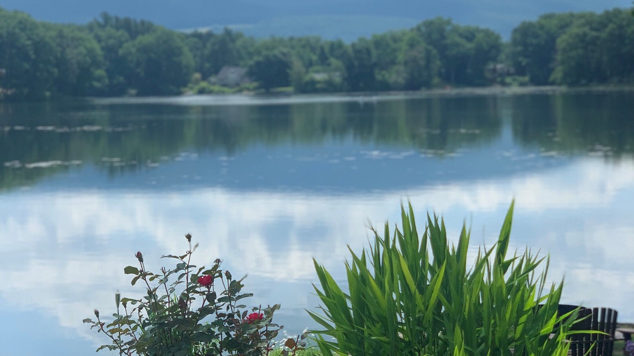 Photo of Outdoor in Copake