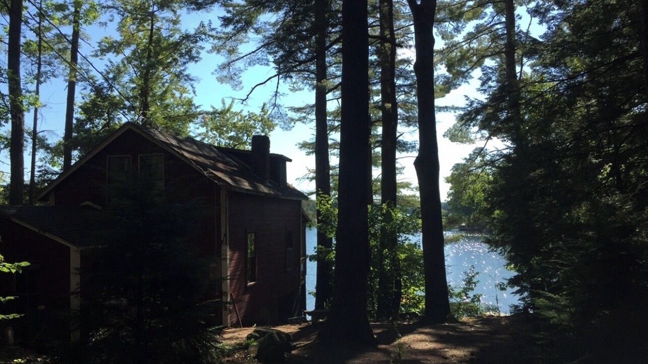 Photo of Others in Wolfeboro
