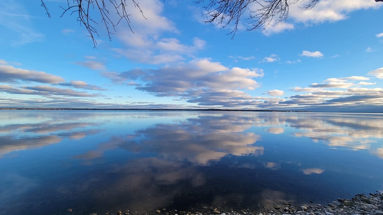 Photo of Others in Three Mile Bay
