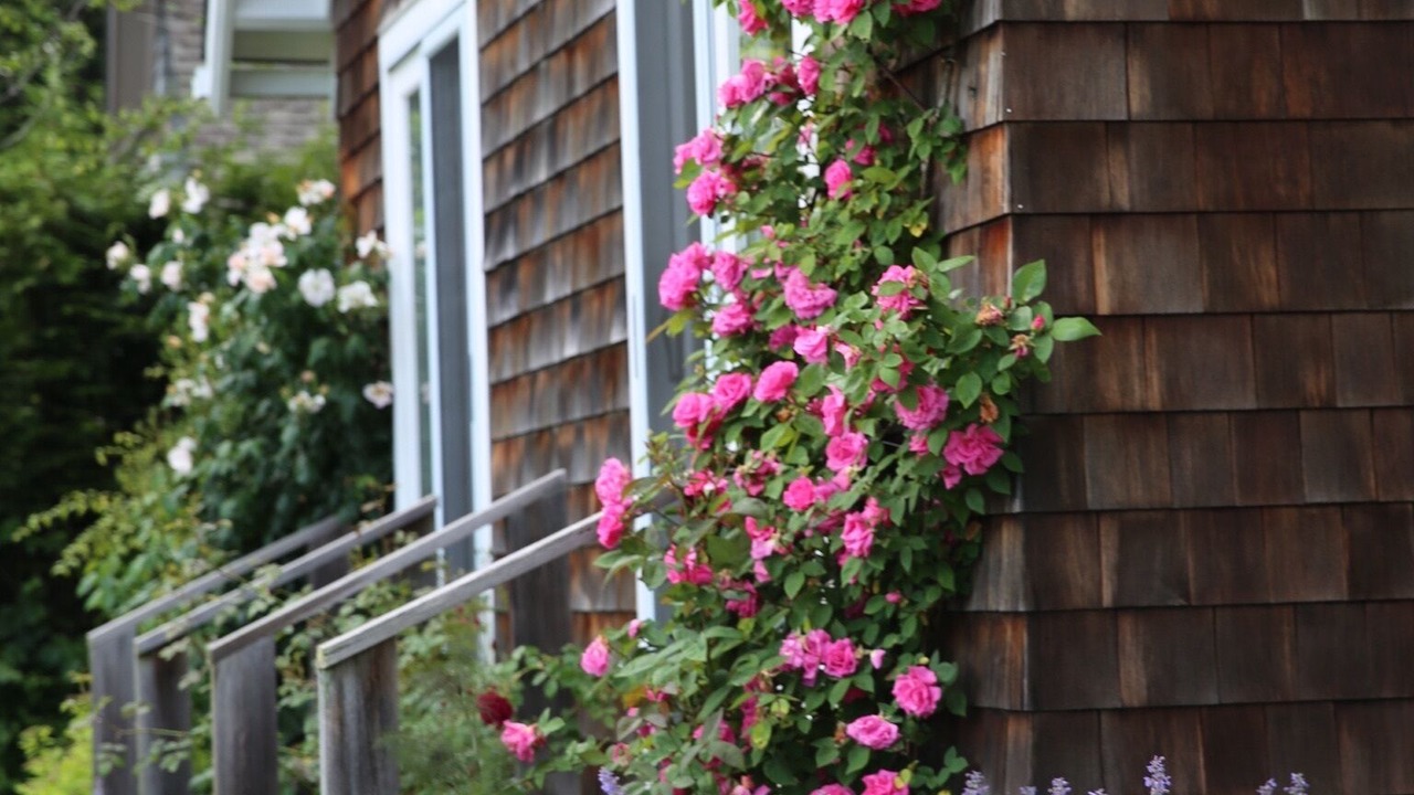 Photo of Outdoor in Amagansett Lanes